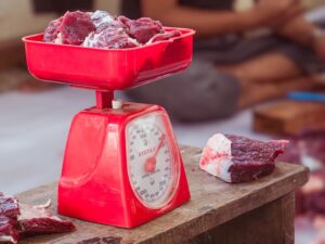 Tips Memilih Hewan Qurban